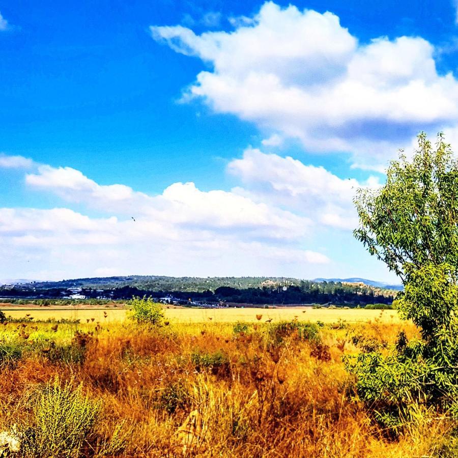 Kibbutz Nachshon住宿加早餐旅馆 外观 照片