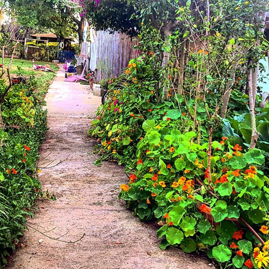 Kibbutz Nachshon住宿加早餐旅馆 外观 照片