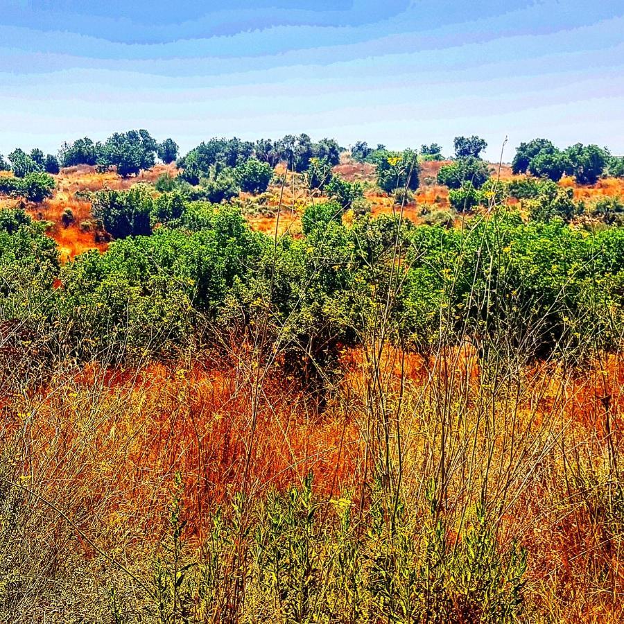 Kibbutz Nachshon住宿加早餐旅馆 外观 照片