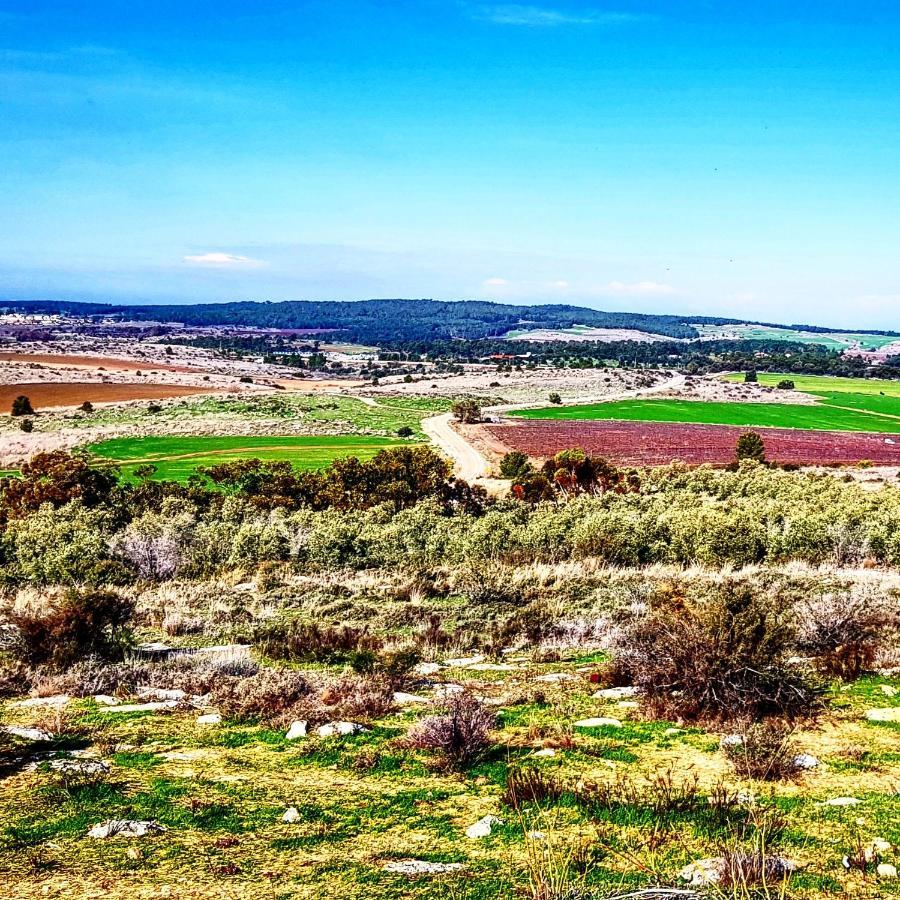 Kibbutz Nachshon住宿加早餐旅馆 外观 照片