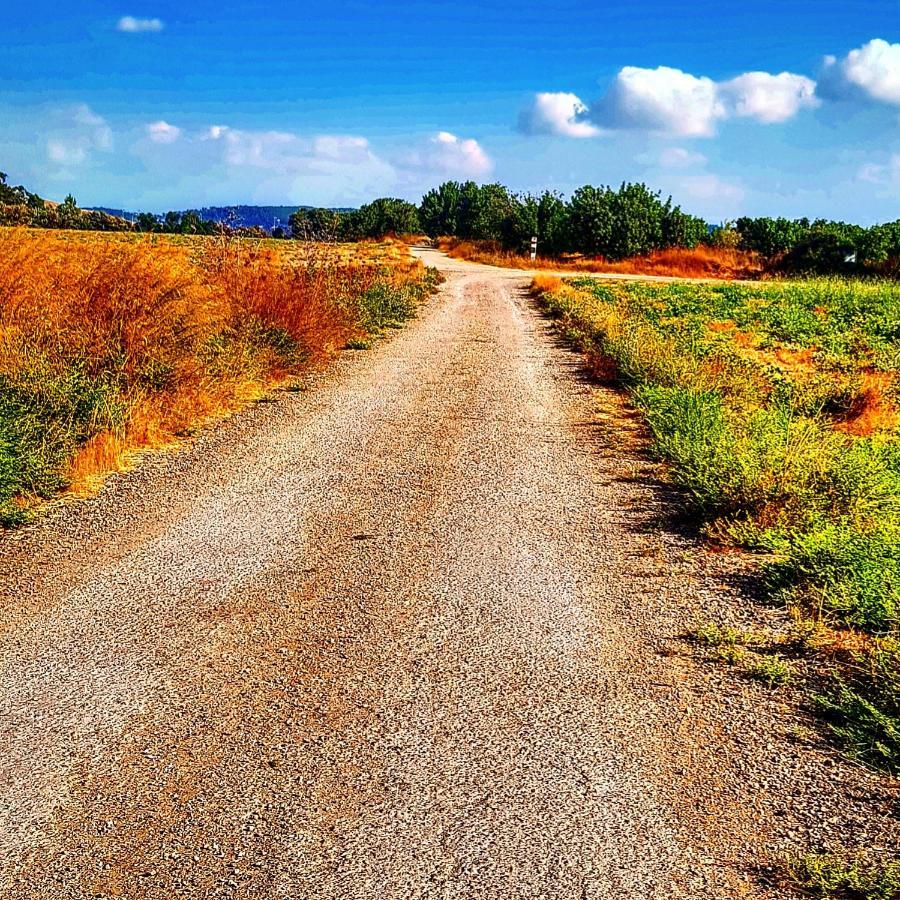 Kibbutz Nachshon住宿加早餐旅馆 外观 照片