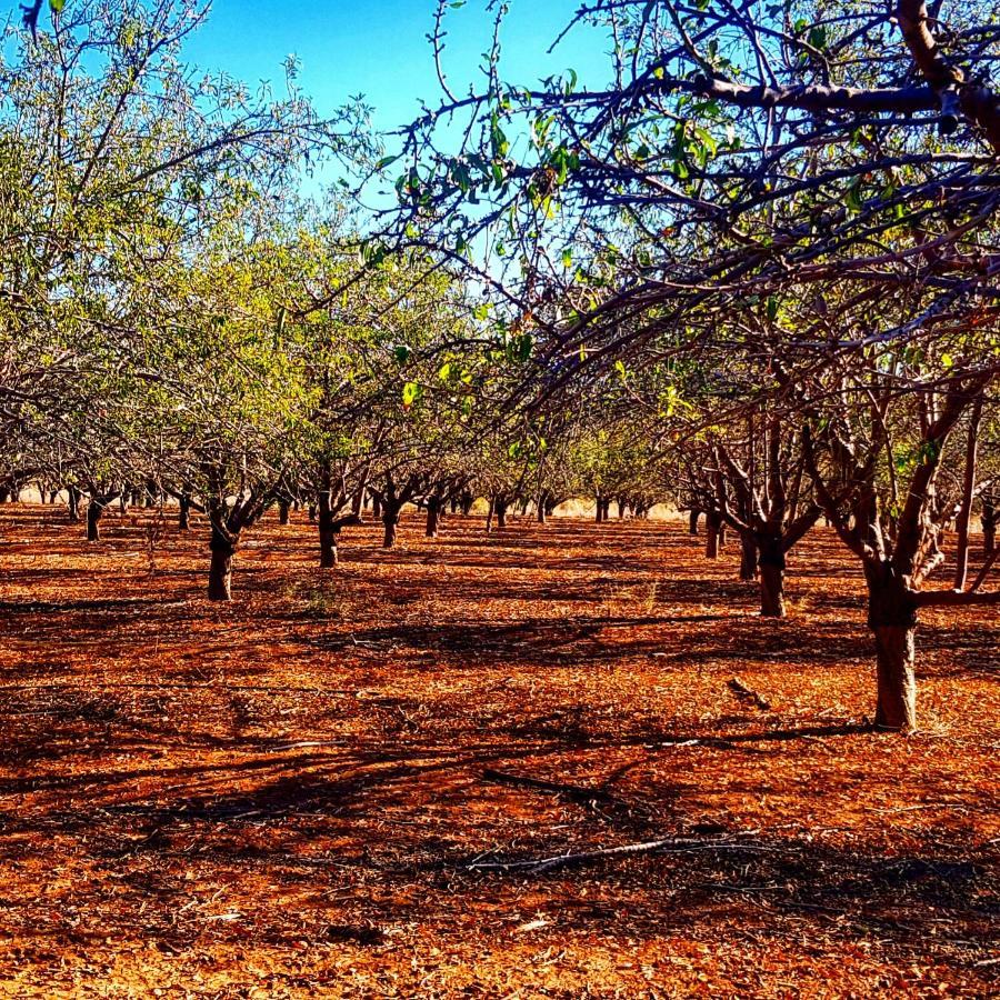 Kibbutz Nachshon住宿加早餐旅馆 外观 照片