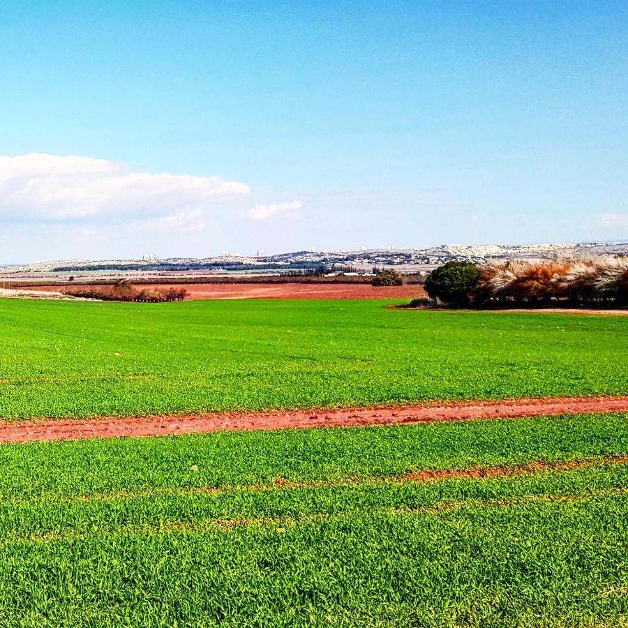 Kibbutz Nachshon住宿加早餐旅馆 外观 照片