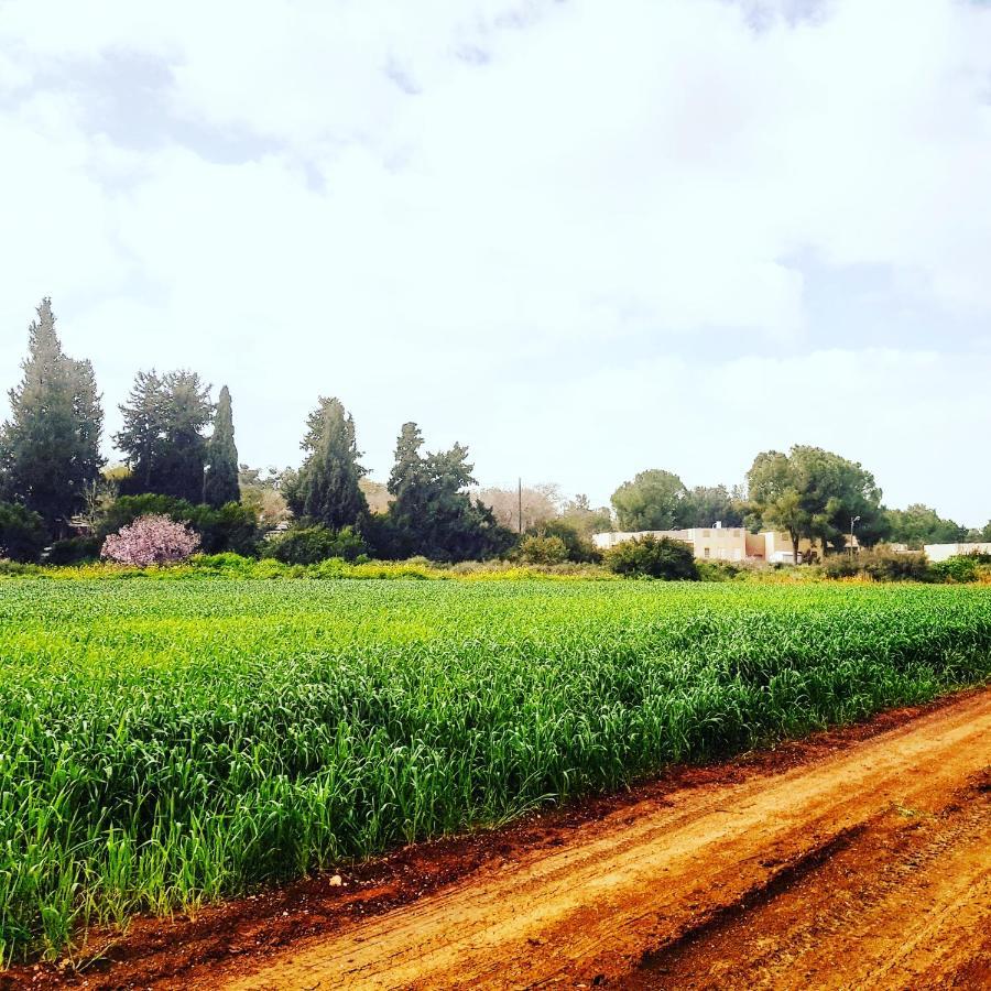 Kibbutz Nachshon住宿加早餐旅馆 外观 照片