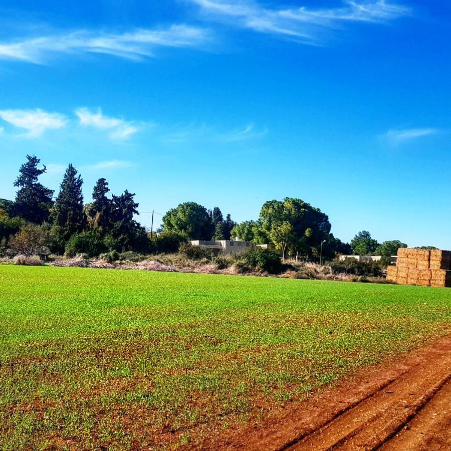 Kibbutz Nachshon住宿加早餐旅馆 外观 照片