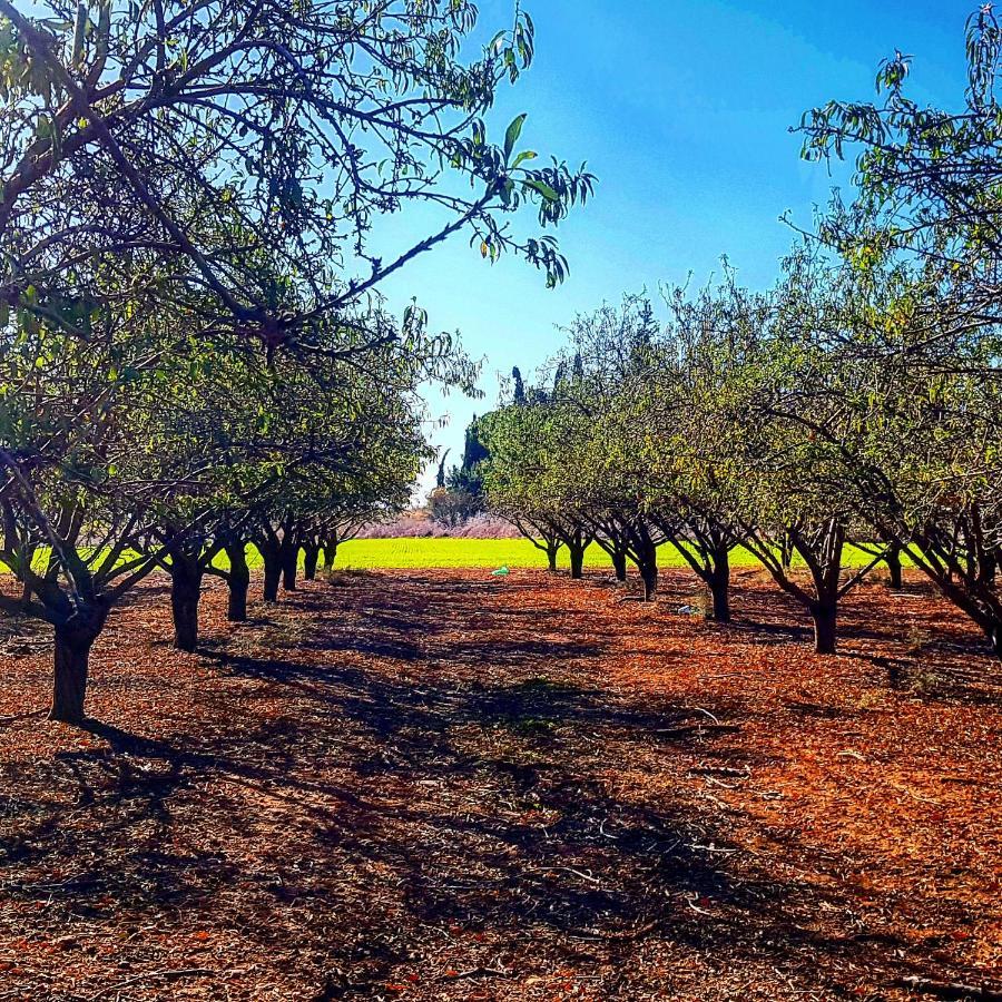 Kibbutz Nachshon住宿加早餐旅馆 外观 照片